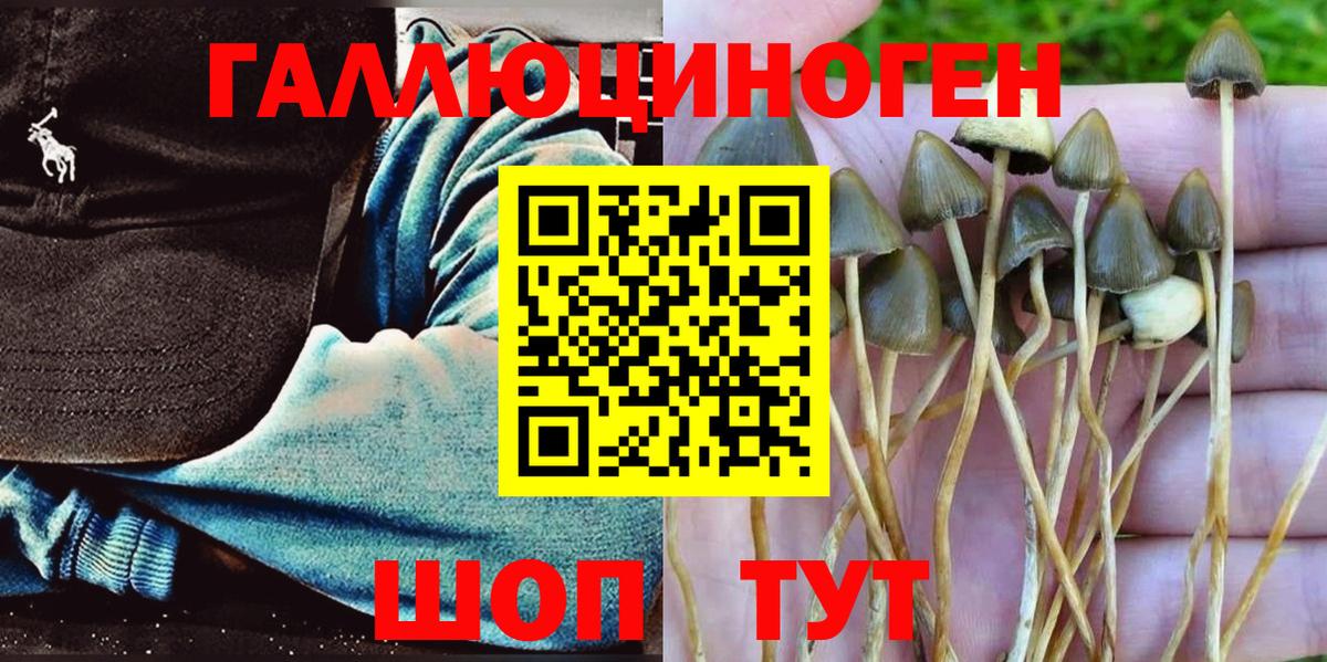 Галлюциногенные грибы Magic Shrooms  Вход с VPN  Сызрань  Галлюциногенные грибы Psilocybe 