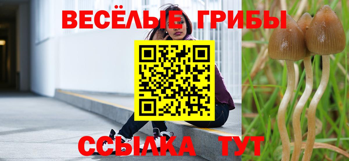 Галлюциногенные грибы MAGIC MUSHROOMS Сызрань